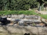 image of grave number 768356
